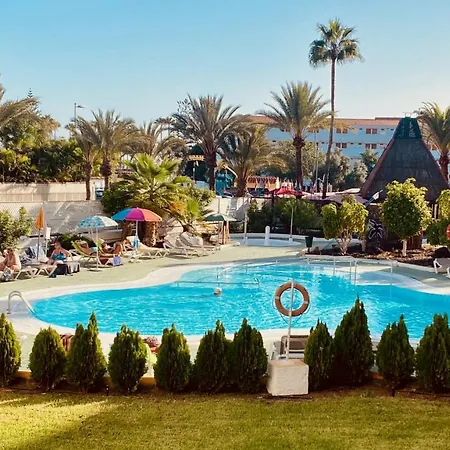 Paradise In *